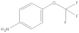 4-(Trifluoromethoxy)aniline