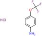 4-(trifluoromethoxy)aniline hydrochloride