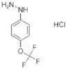 4-(Trifluoromethoxy)phenylhydrazine