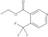 Ethyl 4-(trifluoromethyl)pyridine-3-carboxylate