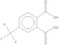 Trifluoromethylphthalicacid; 95%