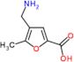 4-(aminomethyl)-5-methylfuran-2-carboxylic acid