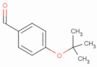 4-(1,1-Dimethylethoxy)benzaldehyde