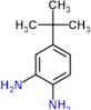 4-tert-Butylbenzene-1,2-diamine