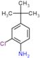 2-Chloro-4-(1,1-dimethylethyl)benzenamine