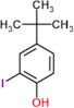 4-tert-butyl-2-iodophenol