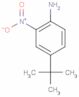 4-(1,1-Dimethylethyl)-2-nitrobenzenamine