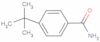 4-tert-Butylbenzamide