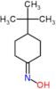 4-tert-butyl-N-hydroxycyclohexanimine