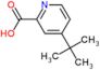 4-(1,1-Dimethylethyl)-2-pyridinecarboxylic acid