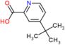 4-tert-butylpyridine-2-carboxylic acid