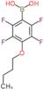 (4-butoxy-2,3,5,6-tetrafluorophenyl)boronic acid