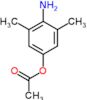 4-amino-3,5-dimethylphenyl acetate