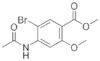 methyl 4-(acetylamino)-5-bromo-o-anisate
