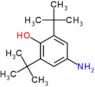 4-amino-2,6-di-tert-butylphenol