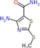 4-amino-2-(methylsulfanyl)-1,3-thiazole-5-carboxamide