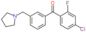 (4-chloro-2-fluoro-phenyl)-[3-(pyrrolidin-1-ylmethyl)phenyl]methanone