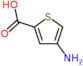 4-Amino-2-thiophenecarboxylic acid