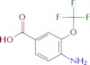 4-amino-3-(trifluoromethoxy)benzoic acid