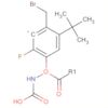 Carbamic acid, [4-(bromomethyl)-2-fluorophenyl]-, 1,1-dimethylethylester