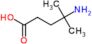 4-amino-4-methylpentanoic acid