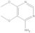 5,6-dimethoxypyrimidin-4-ylamine