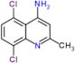 5,8-dichloro-2-methylquinolin-4-amine