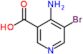 4-amino-5-bromopyridine-3-carboxylic acid