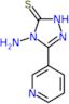 4-amino-5-(pyridin-3-yl)-2,4-dihydro-3H-1,2,4-triazole-3-thione