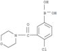 Boronic acid,B-[4-chloro-3-(4-morpholinylcarbonyl)phenyl]-