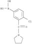 Boronic acid,B-[4-chloro-3-(1-pyrrolidinylcarbonyl)phenyl]-