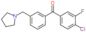 (4-chloro-3-fluoro-phenyl)-[3-(pyrrolidin-1-ylmethyl)phenyl]methanone