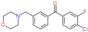 (4-chloro-3-fluoro-phenyl)-[3-(morpholinomethyl)phenyl]methanone