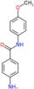 4-amino-N-(4-methoxyphenyl)benzamide