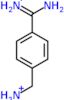 4-(aminomethyl)benzenecarboximidamide dihydrochloride