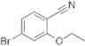 2-ethyoxyl-4-bromobenzonitrile