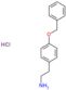 2-[4-(benzyloxy)phenyl]ethanamine hydrochloride (1:1)