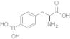 L-p-Boronophenylalanine