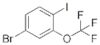 4-bromo-2-(trifluoromethoxy)iodo benzene
