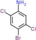 4-bromo-2,5-dichloroaniline