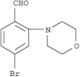 Benzaldehyde,4-bromo-2-(4-morpholinyl)-