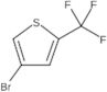 4-Bromo-2-(trifluoromethyl)thiophene