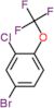 4-bromo-2-chloro-1-(trifluoromethoxy)benzene