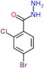 4-bromo-2-chlorobenzohydrazide