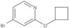 4-Bromo-2-(cyclobutyloxy)pyridine