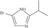 5-Bromo-2-(1-methylethyl)-1H-imidazole