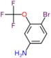 4-Bromo-3-(trifluoromethoxy)benzenamine