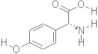 D-p-Hydroxyphenylglycine