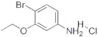 4-Bromo-3-ethoxyaniline hydrochloride