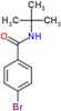 4-Bromo-N-(1,1-dimethylethyl)benzamide